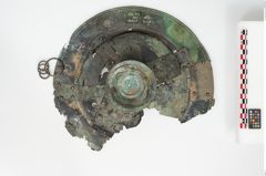 Foto von Bronzebreitrandfußschale (NHMW-PRAE-025740)
